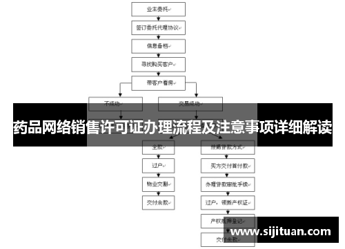药品网络销售许可证办理流程及注意事项详细解读